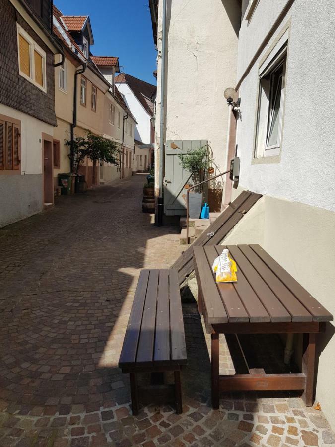 Zauberhafte Wohnung In Der Naehe Von Heidelberg, Top Lage Hirschhorn Kültér fotó