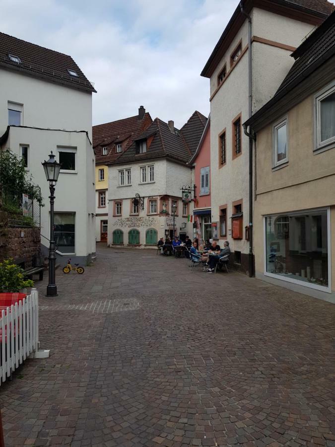 Zauberhafte Wohnung In Der Naehe Von Heidelberg, Top Lage Hirschhorn Kültér fotó