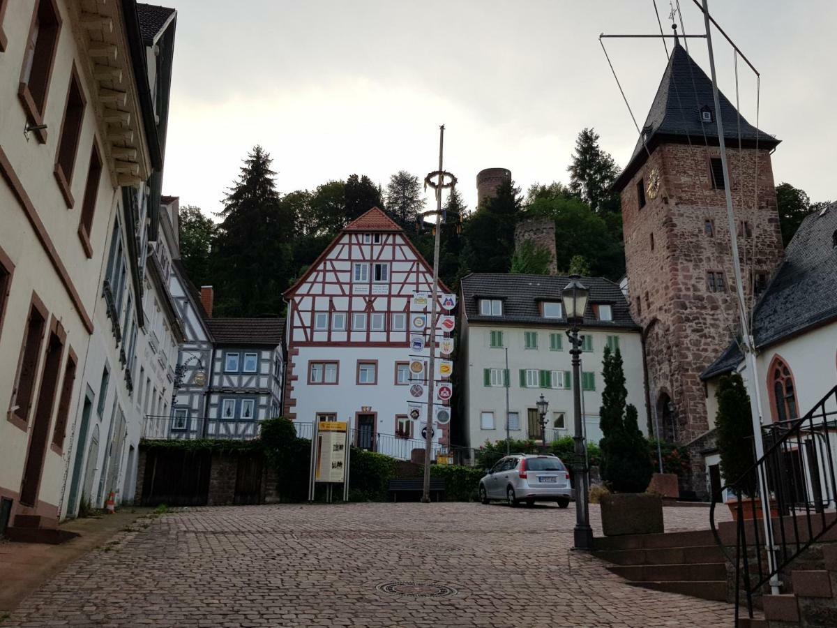 Zauberhafte Wohnung In Der Naehe Von Heidelberg, Top Lage Hirschhorn Kültér fotó