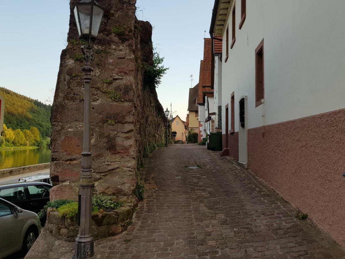 Zauberhafte Wohnung In Der Naehe Von Heidelberg, Top Lage Hirschhorn Kültér fotó