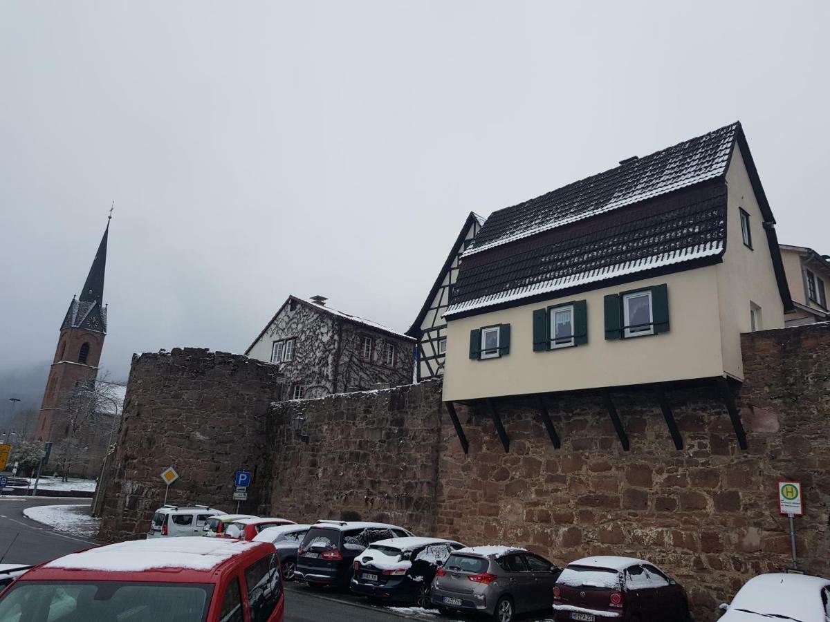 Zauberhafte Wohnung In Der Naehe Von Heidelberg, Top Lage Hirschhorn Kültér fotó