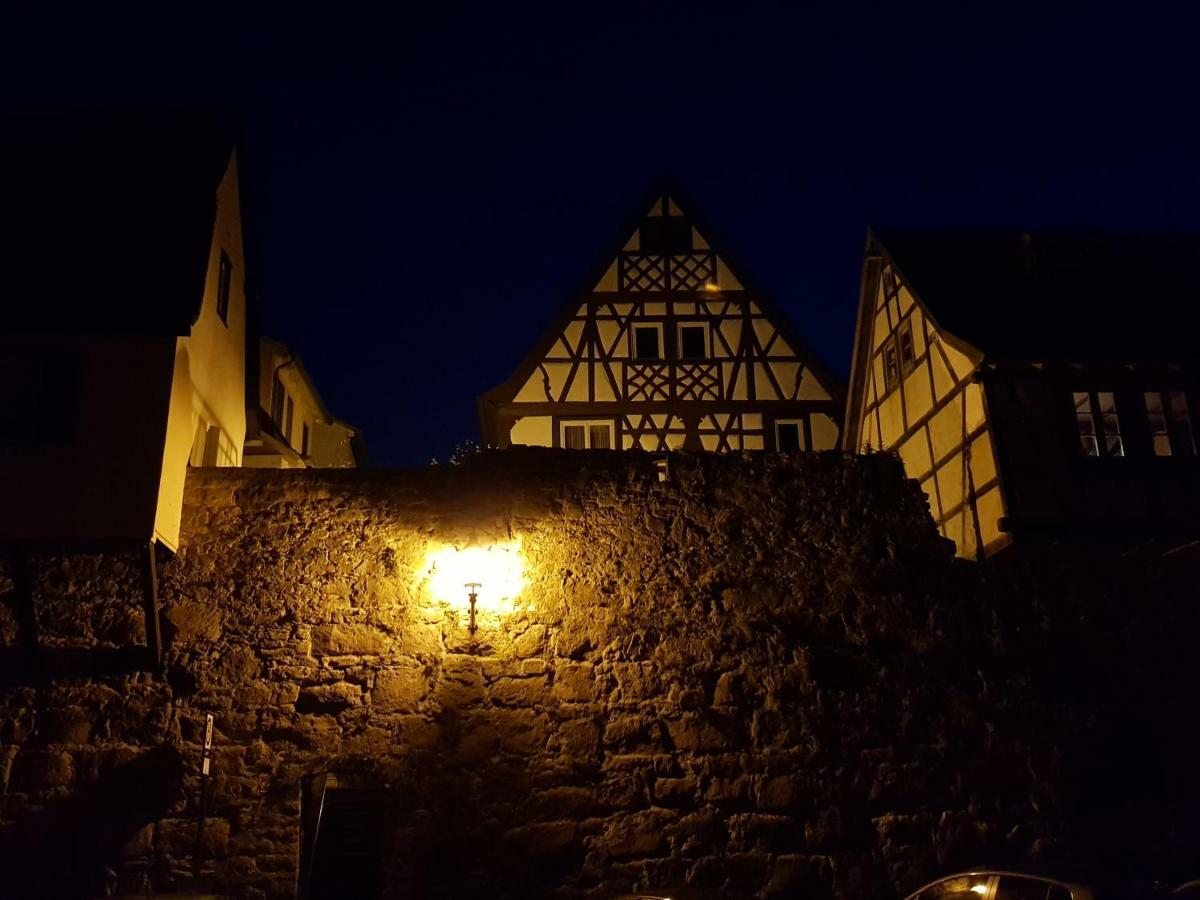 Zauberhafte Wohnung In Der Naehe Von Heidelberg, Top Lage Hirschhorn Kültér fotó