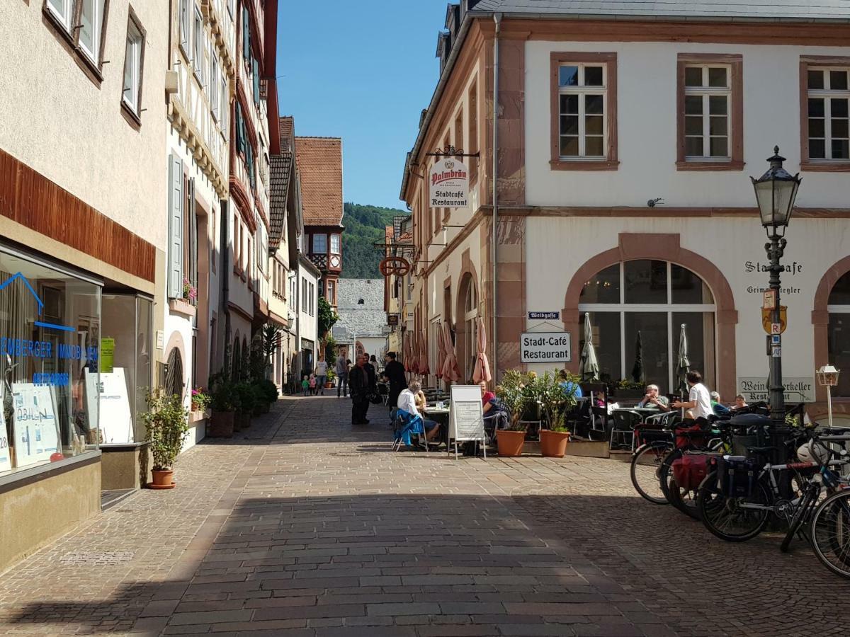 Zauberhafte Wohnung In Der Naehe Von Heidelberg, Top Lage Hirschhorn Kültér fotó