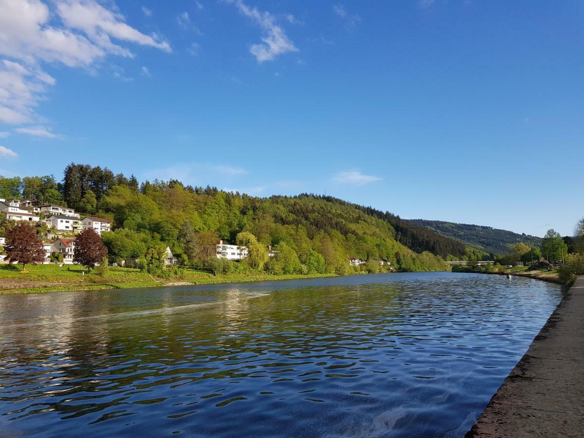 Zauberhafte Wohnung In Der Naehe Von Heidelberg, Top Lage Hirschhorn Kültér fotó