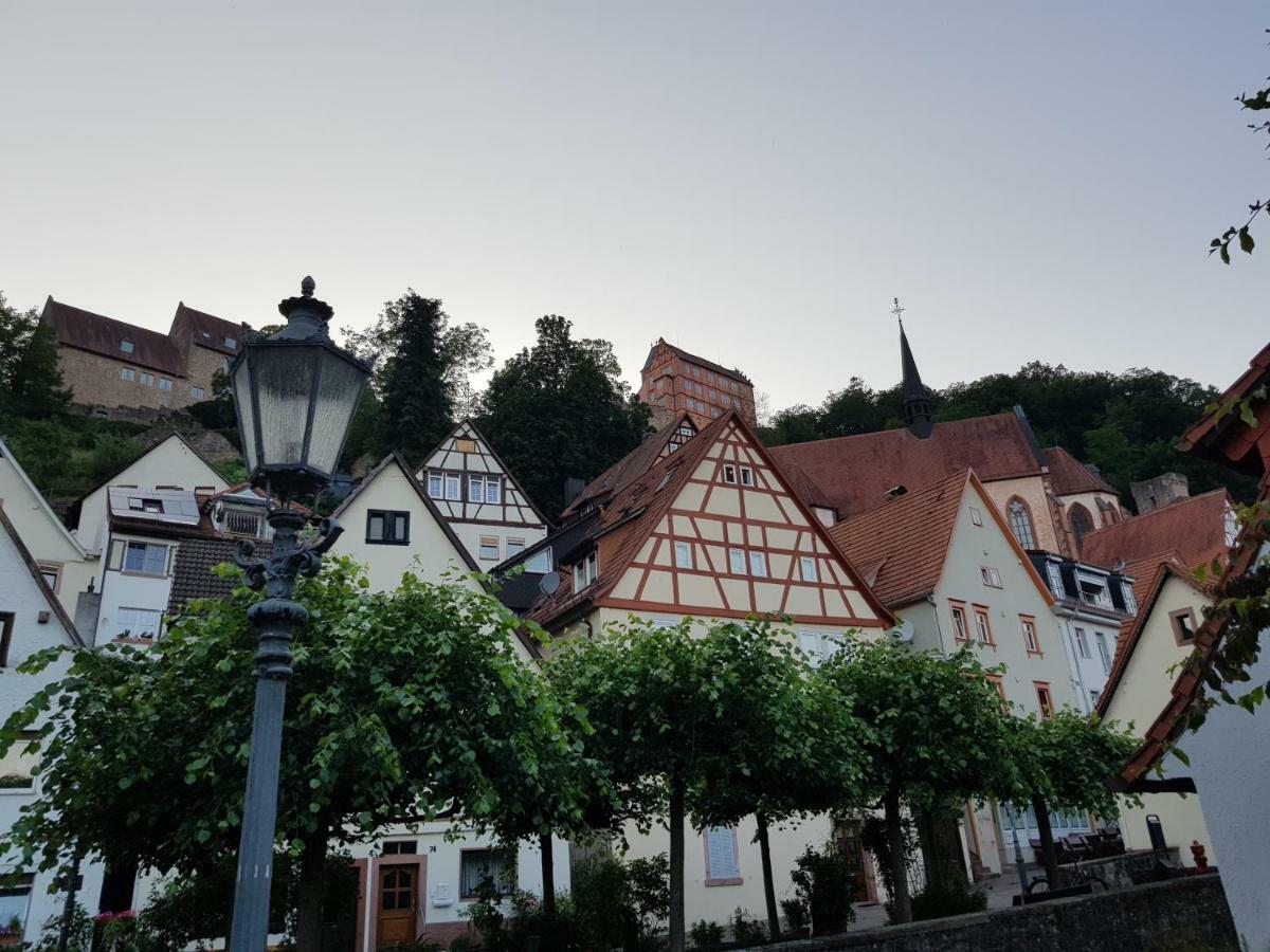 Zauberhafte Wohnung In Der Naehe Von Heidelberg, Top Lage Hirschhorn Kültér fotó