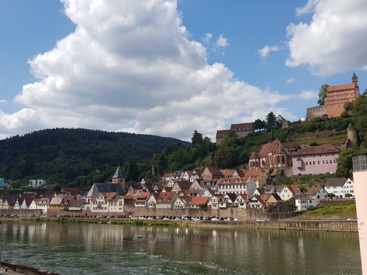 Zauberhafte Wohnung In Der Naehe Von Heidelberg, Top Lage Hirschhorn Kültér fotó