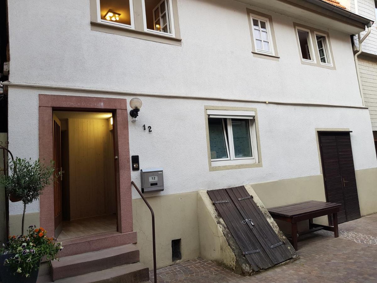 Zauberhafte Wohnung In Der Naehe Von Heidelberg, Top Lage Hirschhorn Kültér fotó