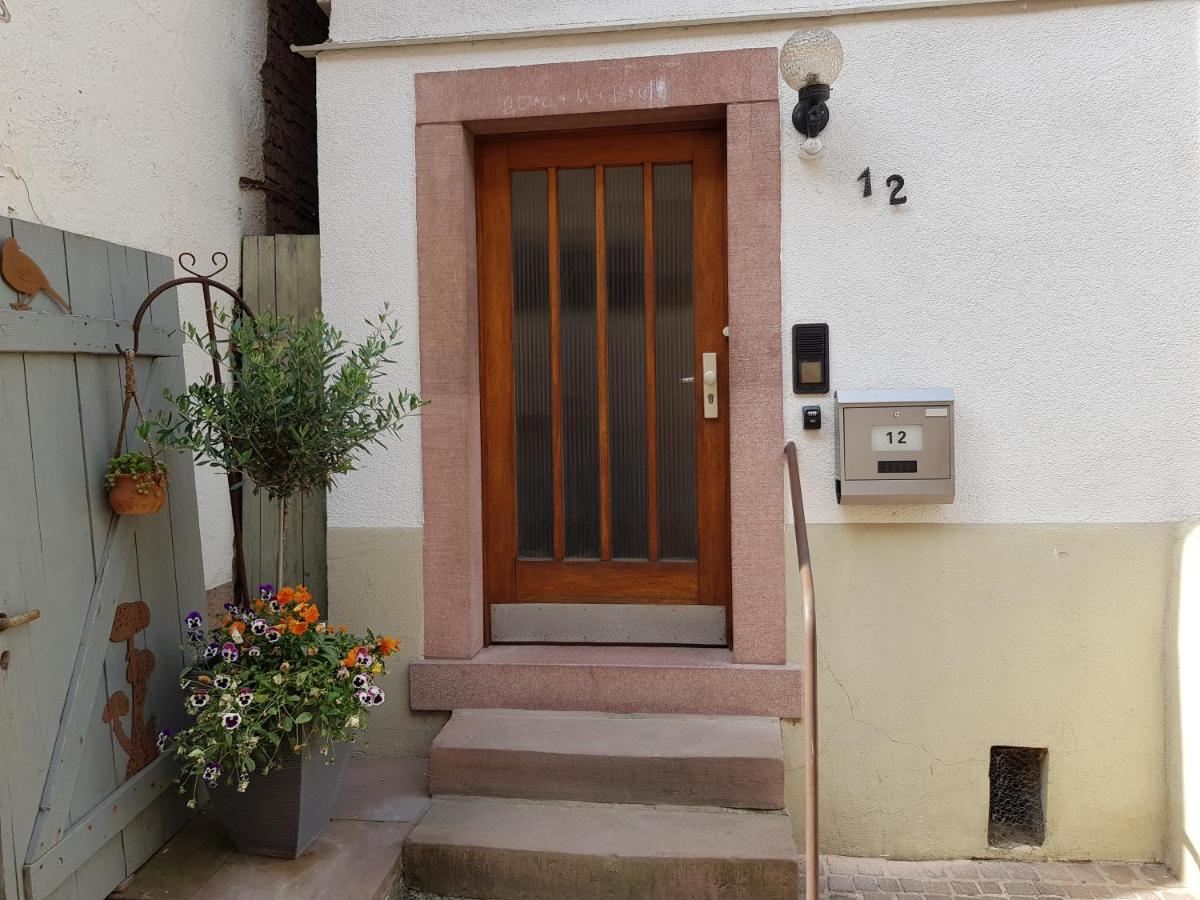 Zauberhafte Wohnung In Der Naehe Von Heidelberg, Top Lage Hirschhorn Kültér fotó