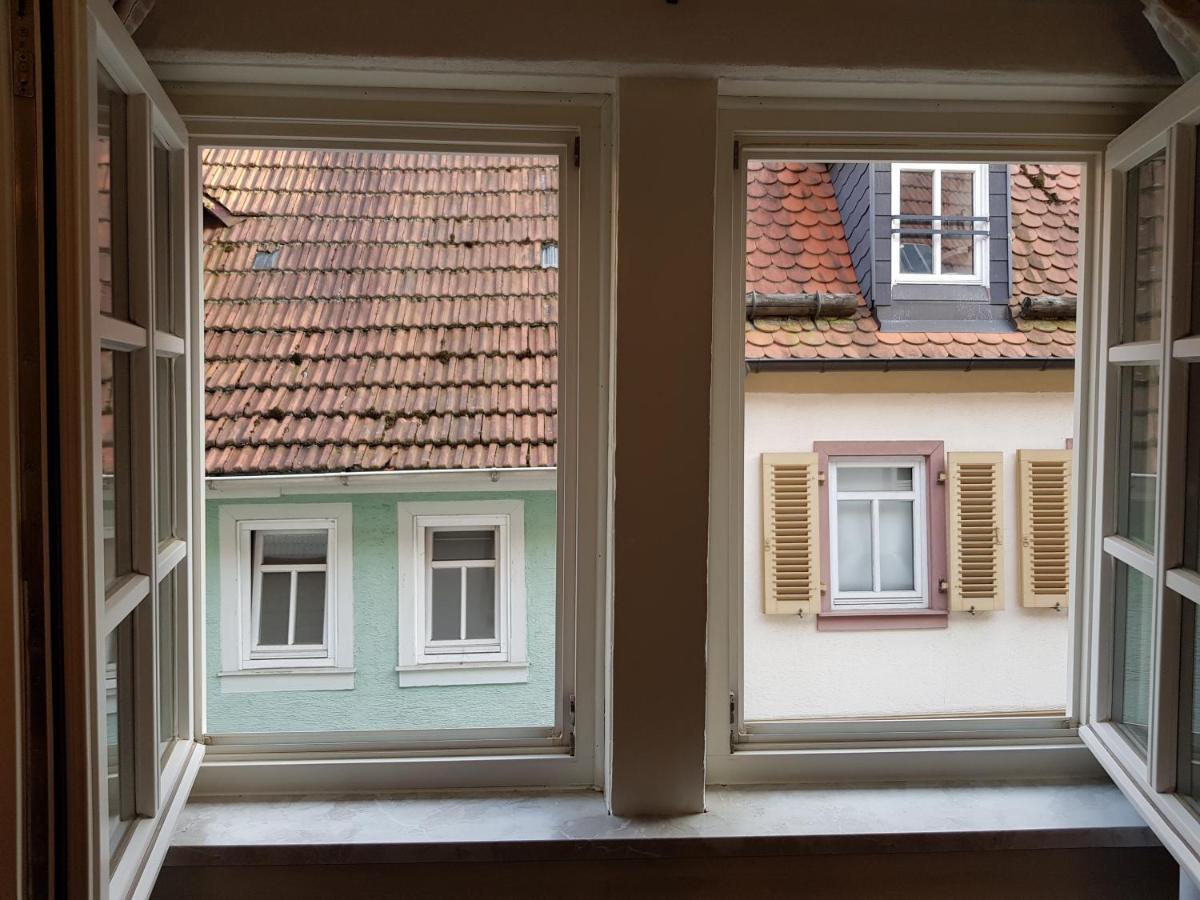 Zauberhafte Wohnung In Der Naehe Von Heidelberg, Top Lage Hirschhorn Kültér fotó